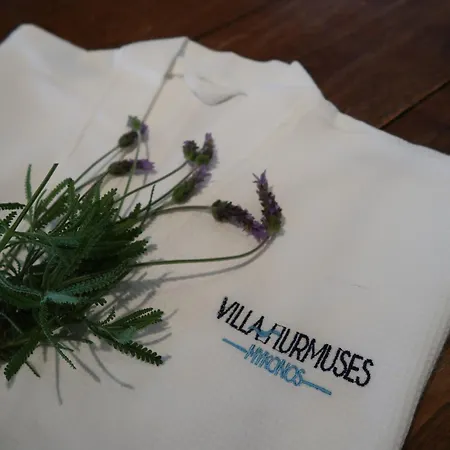 Villa Hurmuses
